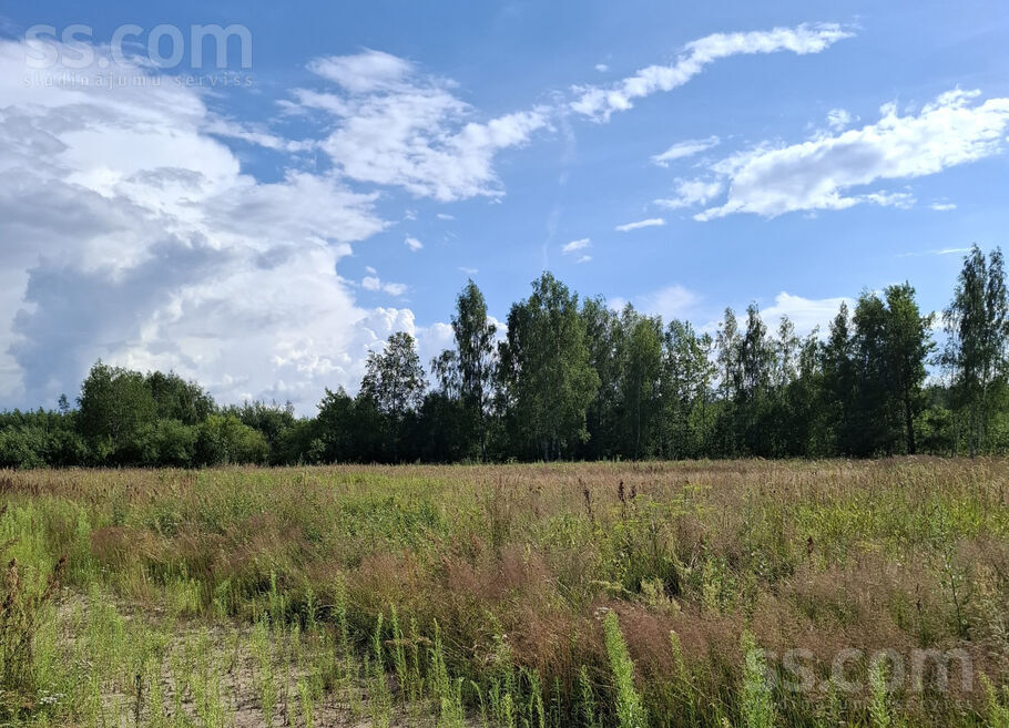 Baltegle, Trenči, Rīgas rajons, Babītes pag. — zeme