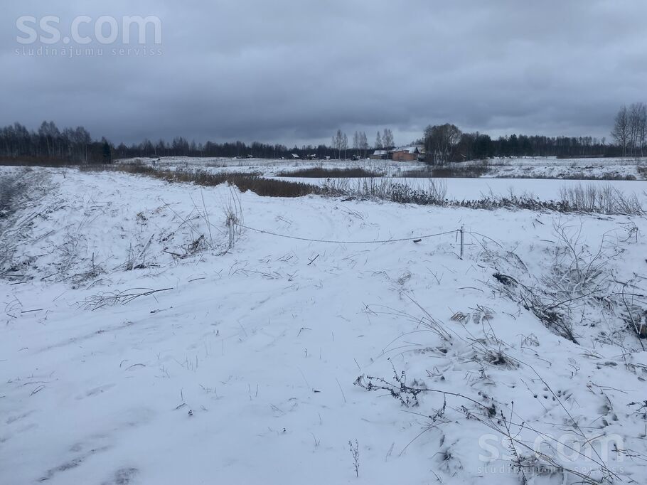 Biķernieki 1, Biķernieki, Daugavpils un raj., Biķernieku pag. — zeme