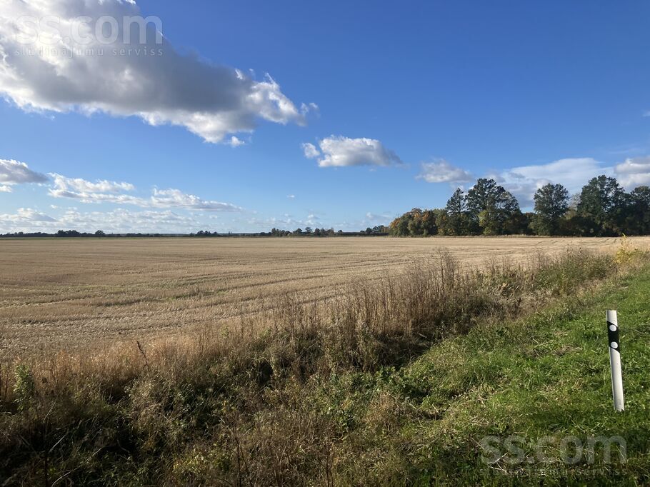 Dzirnieki, Jelgava un raj., Jaunsvirlaukas pag. — vienseta