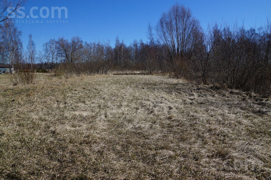 Vītolu, Limbaži un raj., Salacgrīva — zeme