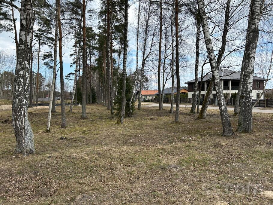 Sedolu iela 1, Jaunmārupe, Rīgas rajons, Mārupes pag. — zeme