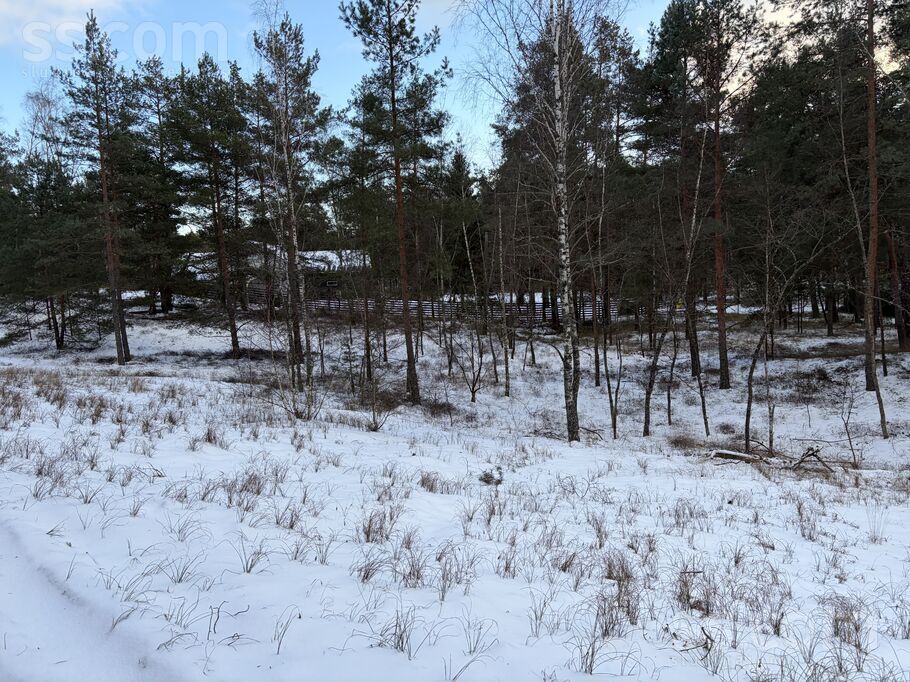 Brīzes 34, Rīga — zeme