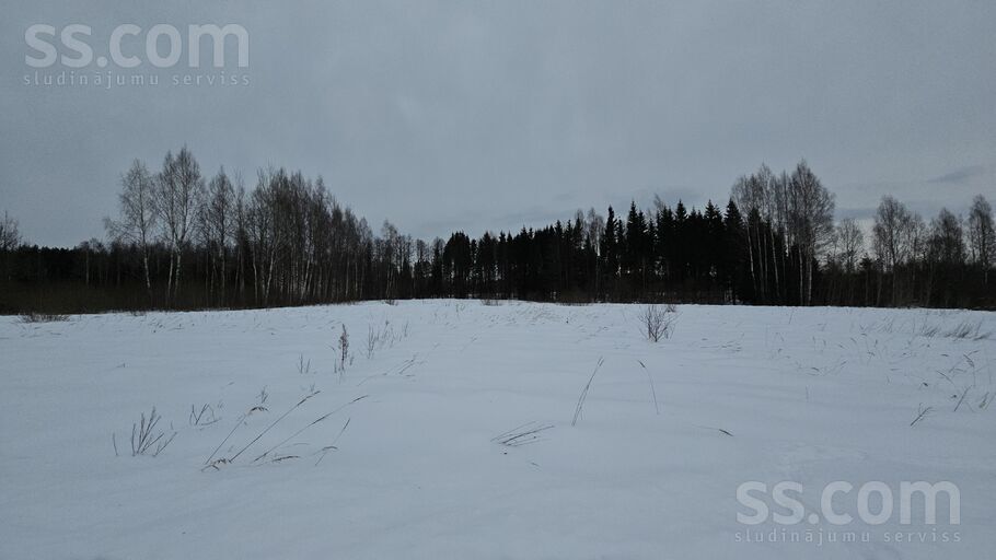 Krauļi 1, Bauska un raj., Bauska — zeme