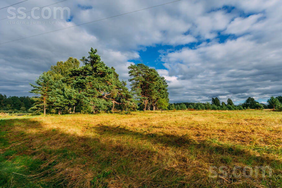 Ventas Līči, Kuldīga un raj., Kuldīga — zeme