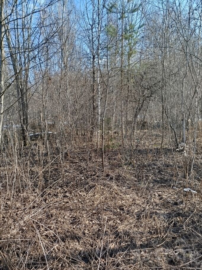 D/s Āriņi 34, Jersika, Preiļi un raj., Jersikas pag. — zeme