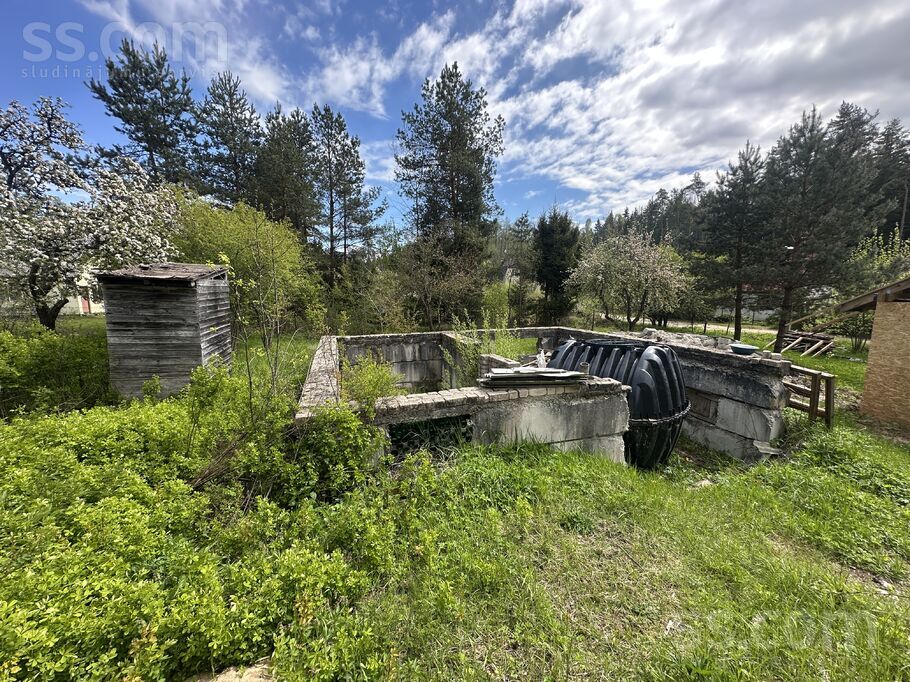 Ziediņi 195, Jāņupe, Rīgas rajons, Olaines pag. — zeme