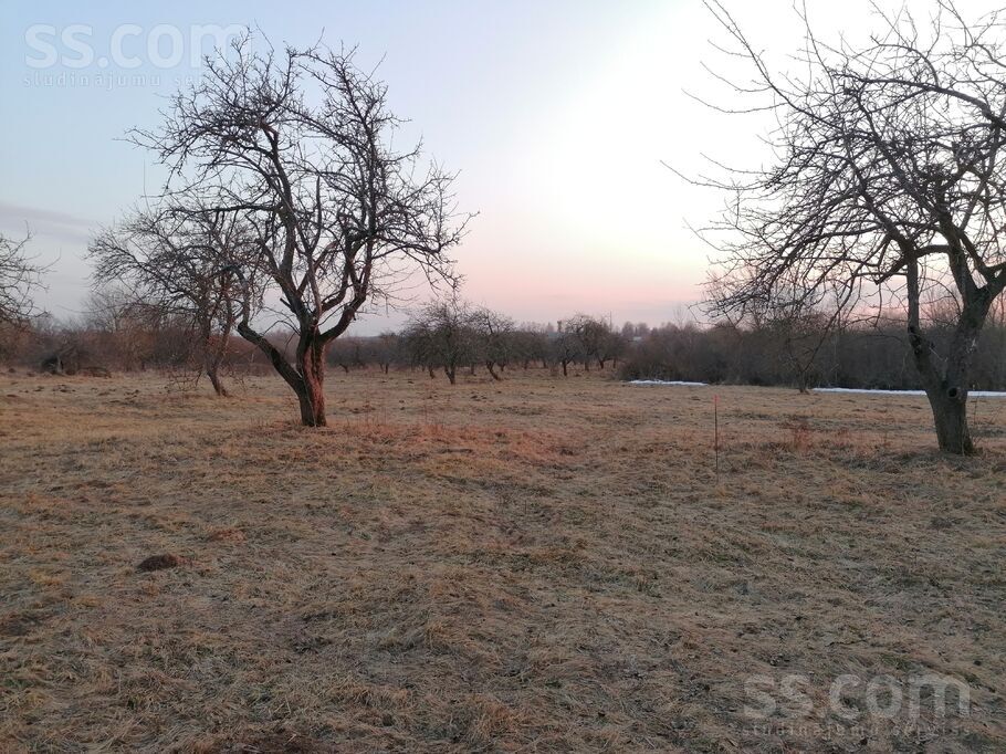 Randene, Randene, Daugavpils un raj., Kalkūnes pag. — zeme