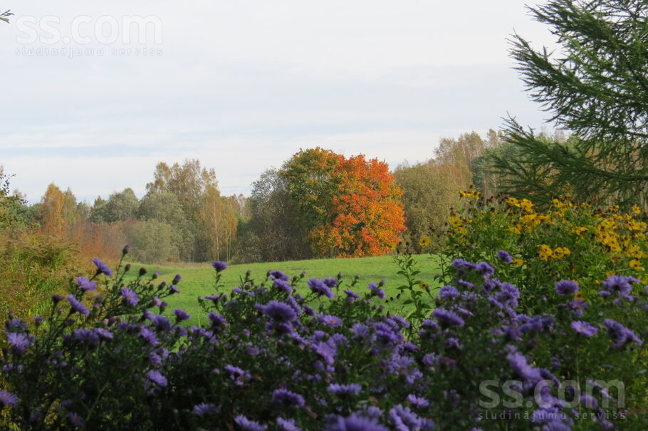 Lamiņi, Tukums un raj., Pūres pag. — vienseta