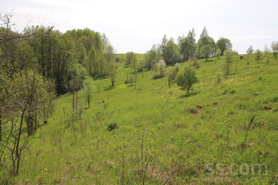 Kāši-Ventas, Daugavpils un raj., Medumu pag. — zeme