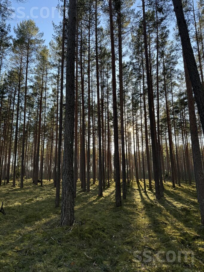 Lejas Dižmalas, Ādaži, Rīgas rajons, Ādažu nov. — zeme