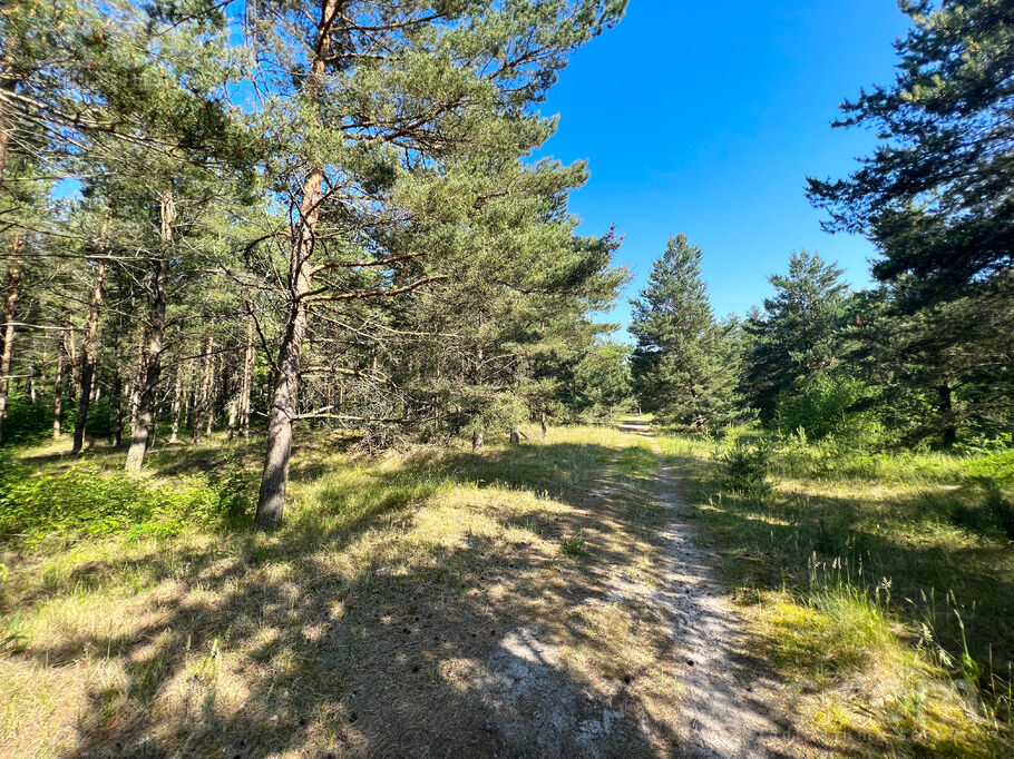 Grīnvalti 2, Liepāja un raj., Nīcas pag. — zeme