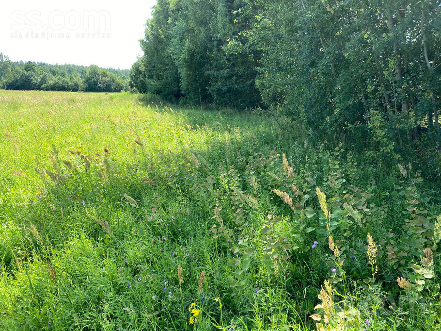 Beņķi, Jelgava un raj., Ozolnieku pag. — zeme