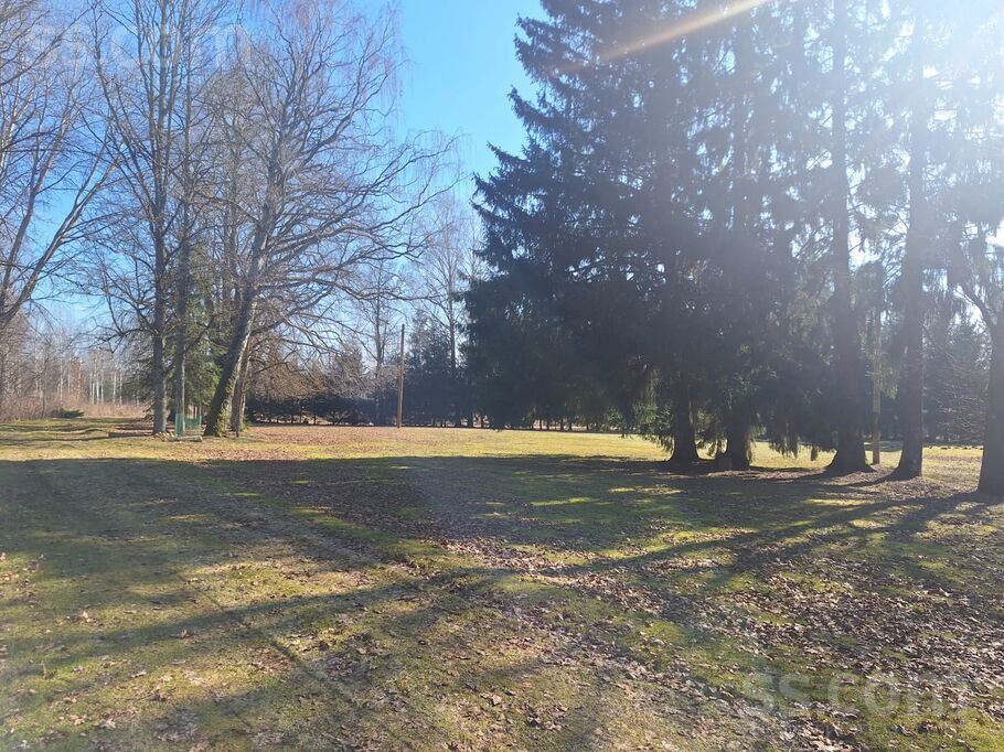 Bauska un raj. — vienseta