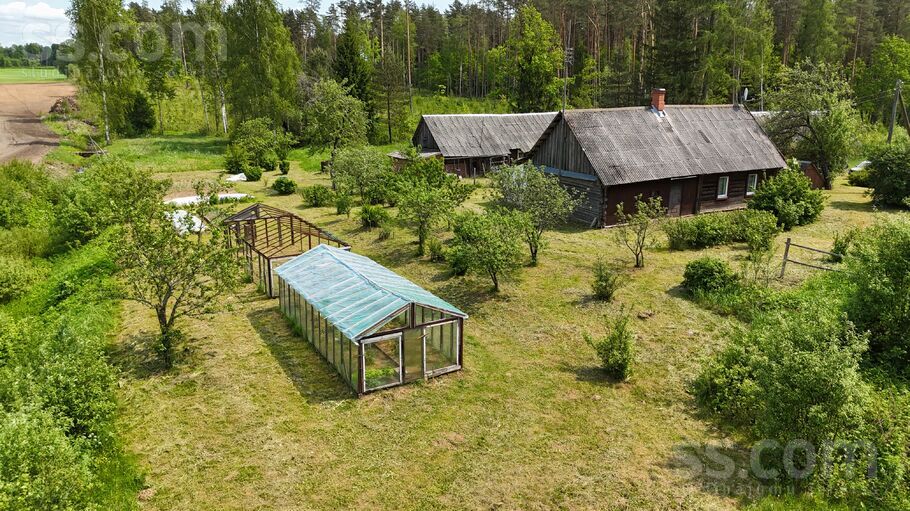 Bērziņi, Krivoseļci, Krāslava un raj., Piedrujas pag. — maja