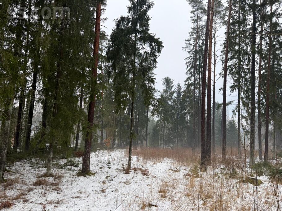 Zvaigžņu 18, Inčukalns, Rīgas rajons, Inčukalna nov. — zeme