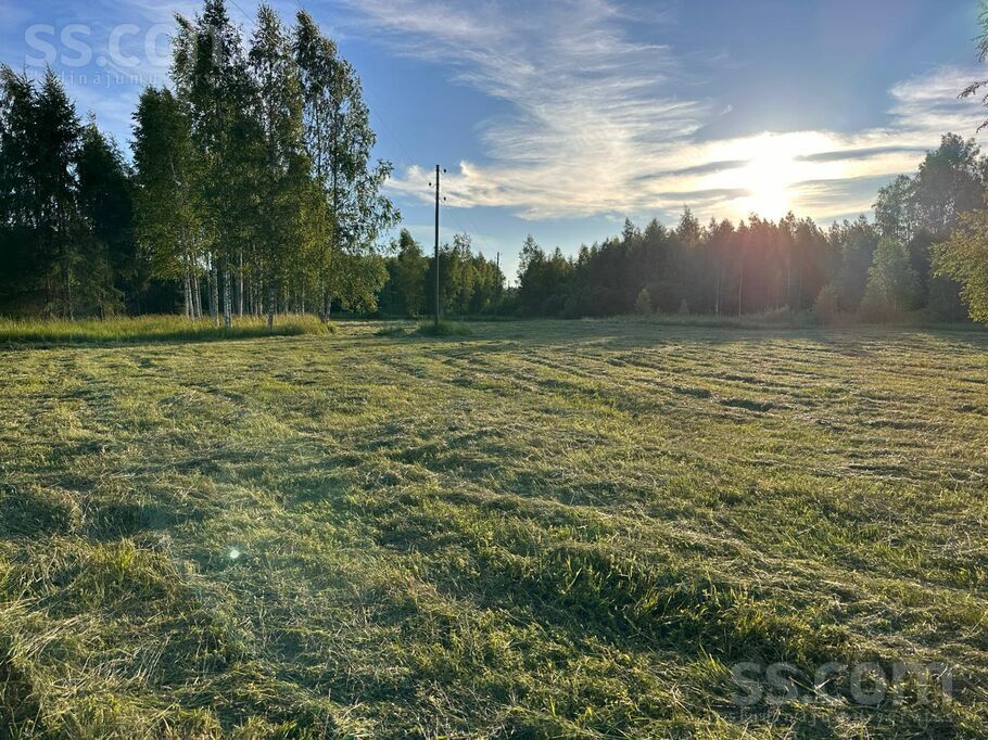 Alksnaji, Alksnāji, Talsi un raj., Mērsraga pag. — zeme