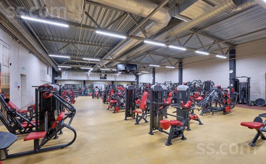 Akadēmijas 21, Jelgava un raj., Jelgava — telpa