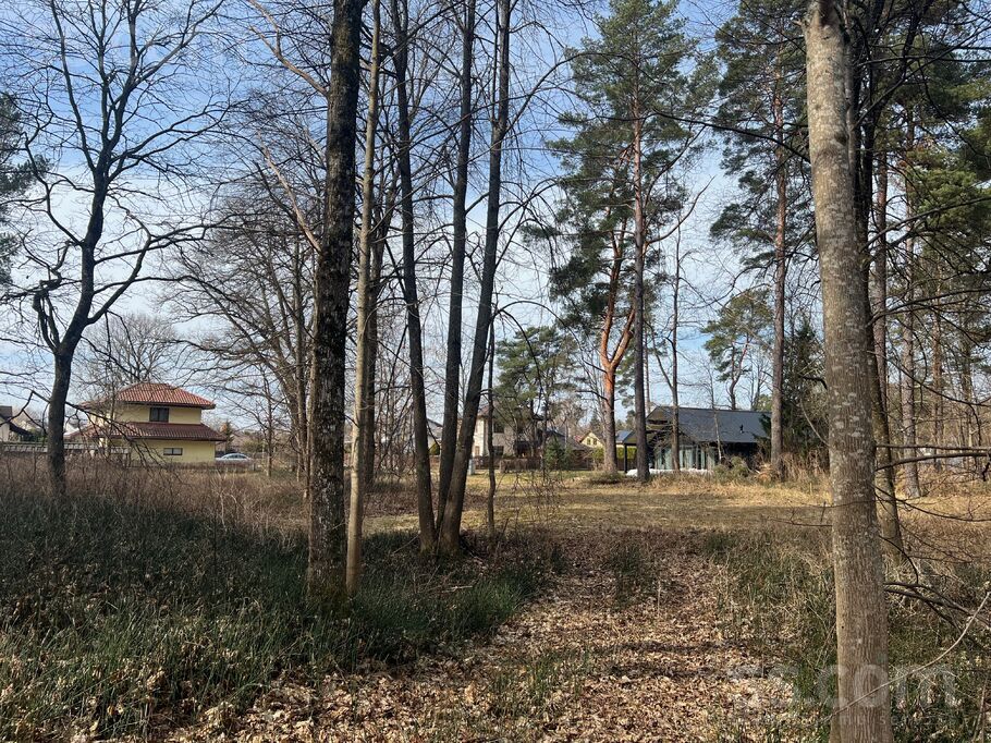 Koku 18, Ādaži, Rīgas rajons, Ādažu nov. — zeme