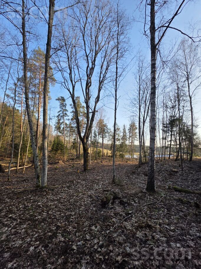 Zemes elpa, Raiskums, Cēsis un raj., Raiskuma pag. — zeme