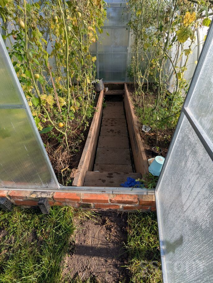 5 linija, Verpuļeva, Balvi un raj., Balvu pag. — maja