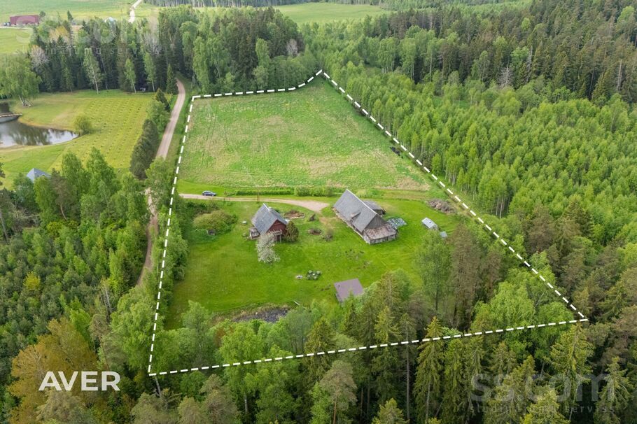 Ziediņi 1, Sēme, Tukums un raj., Sēmes pag. — maja