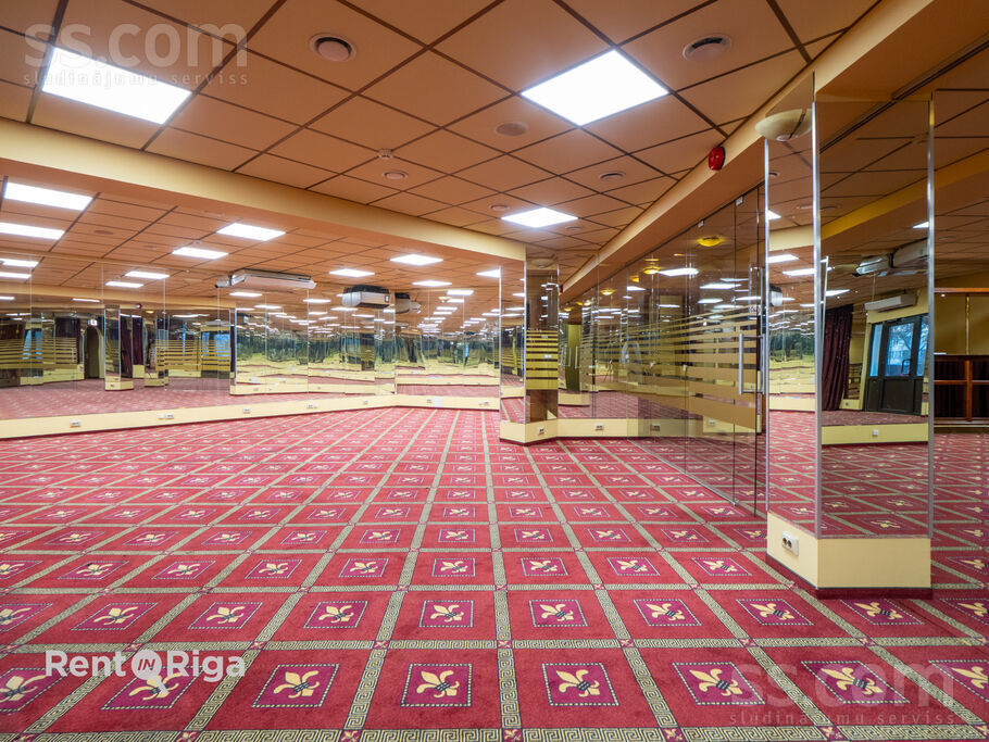 Dammes 9a, Rīga, Imanta — telpa