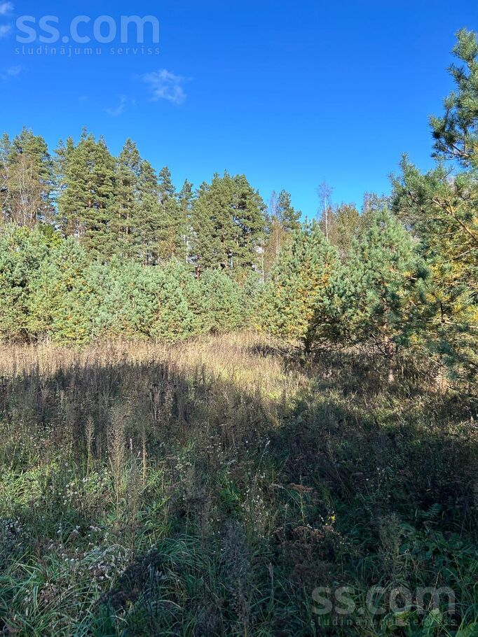 Bez, Gauja, Rīgas rajons, Inčukalna nov. — zeme