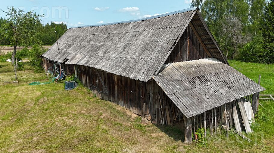 Bērziņi, Krivoseļci, Krāslava un raj., Piedrujas pag. — maja