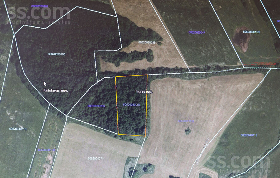 Rusakova, Krāslava un raj., Indras pag. — mezs