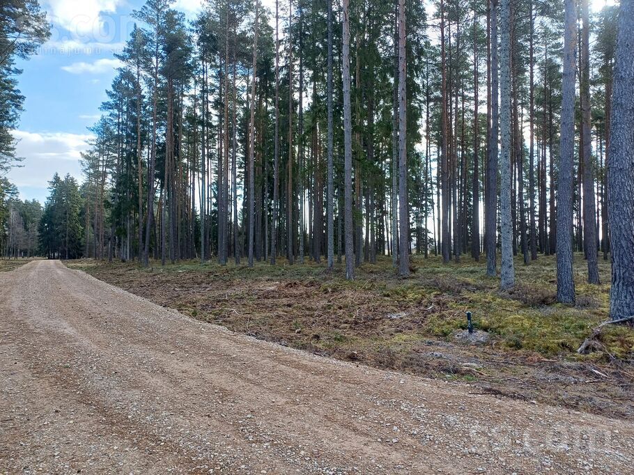 Mežmalas iela, Engure, Tukums un raj., Engures pag. — zeme