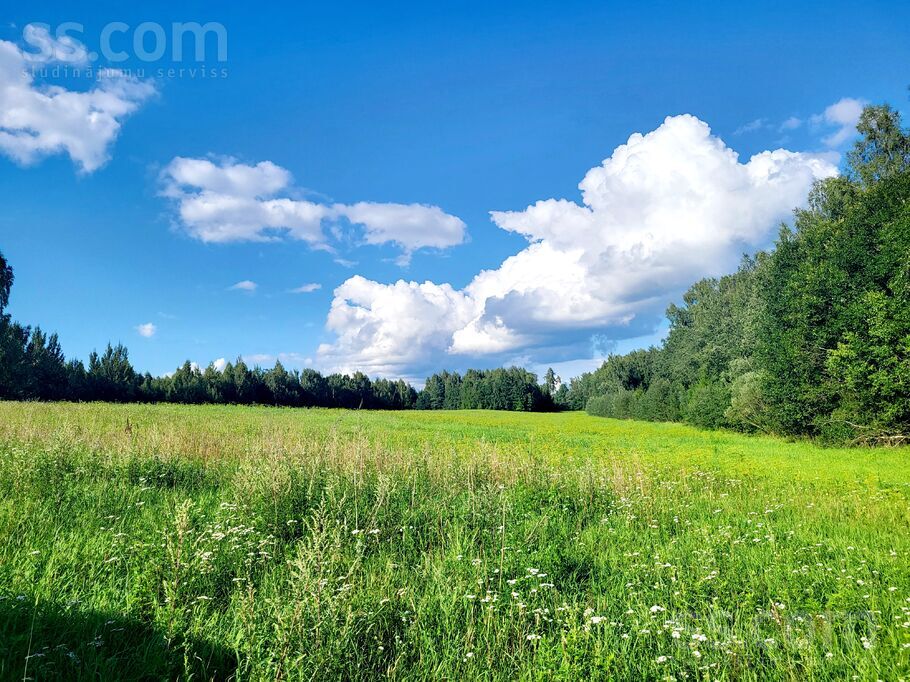 Alksnāji, Ragana, Rīgas rajons, Krimuldas pag. — zeme