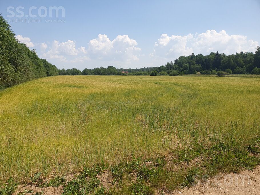 Ganību iela 23, Limbaži un raj., Salacgrīva — zeme