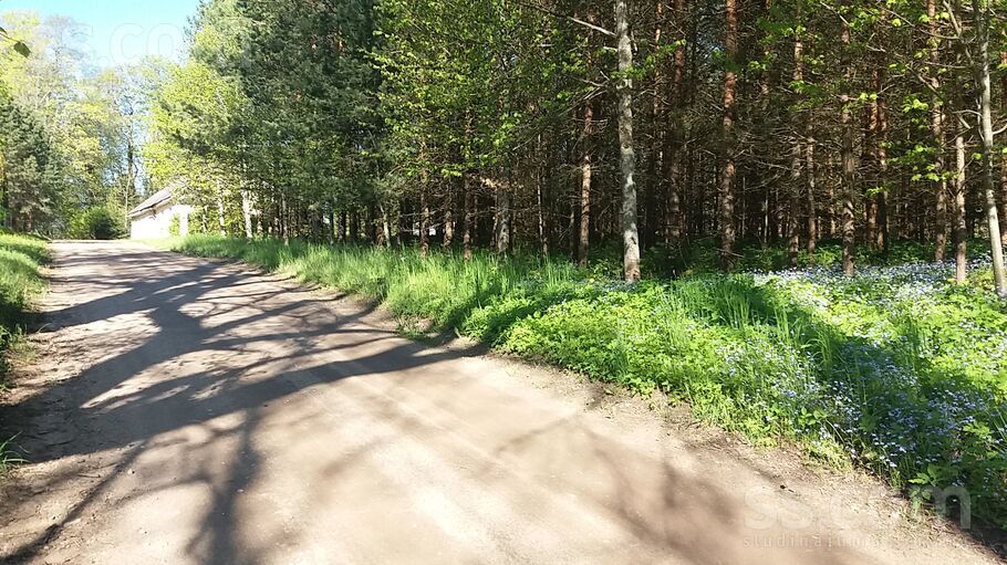 Taudejāņi, Taudejāņi, Rēzekne un raj., Vērēmu pag. — zeme