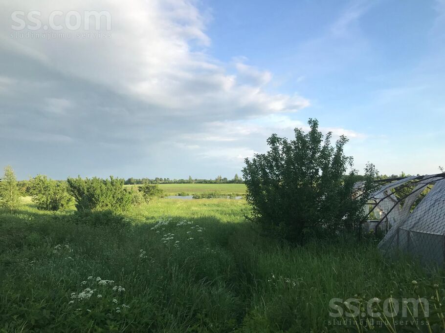 Randene, Daugavpils un raj., Kalkūnes pag. — vienseta