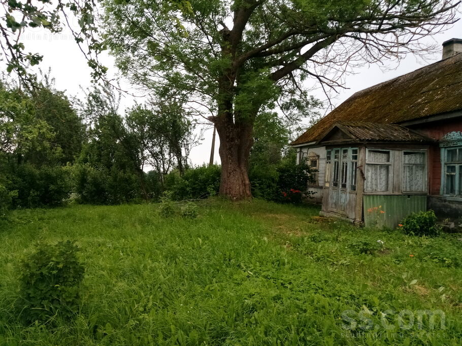 Līvānu 23, Brigi, Ludza un raj., Briģu pag. — zeme