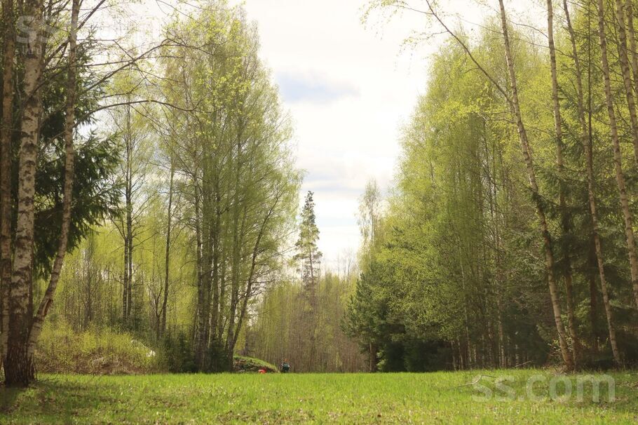 Mežābeles, Kocēni, Valmiera un raj., Kocēnu pag. — zeme