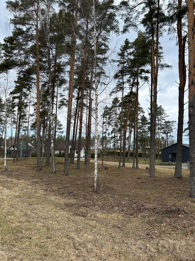 Sedolu iela 1, Jaunmārupe, Rīgas rajons, Mārupes pag. — zeme
