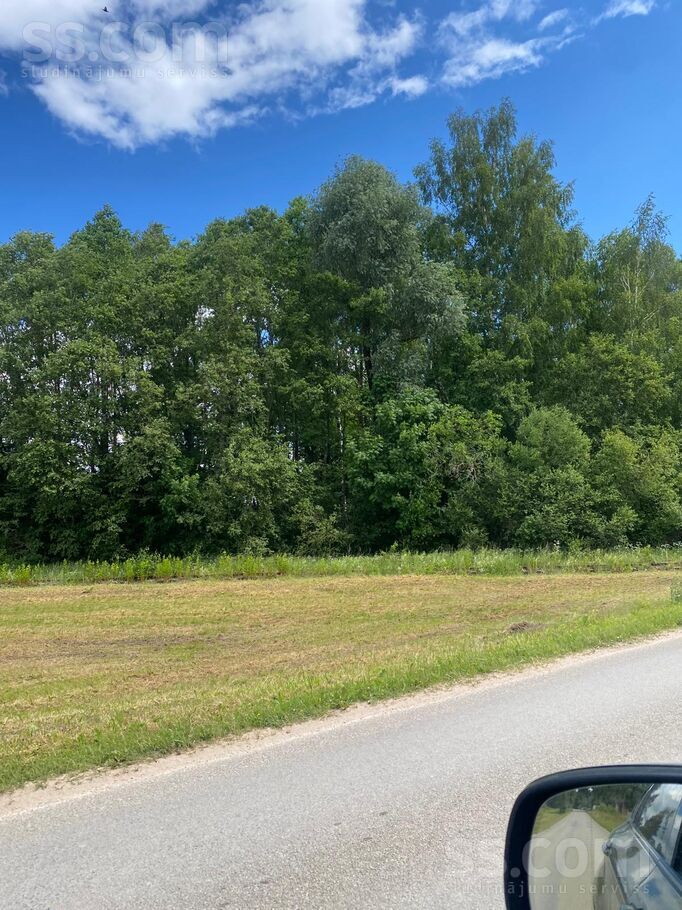 Misa, Bauska un raj., Iecavas nov. — mezs