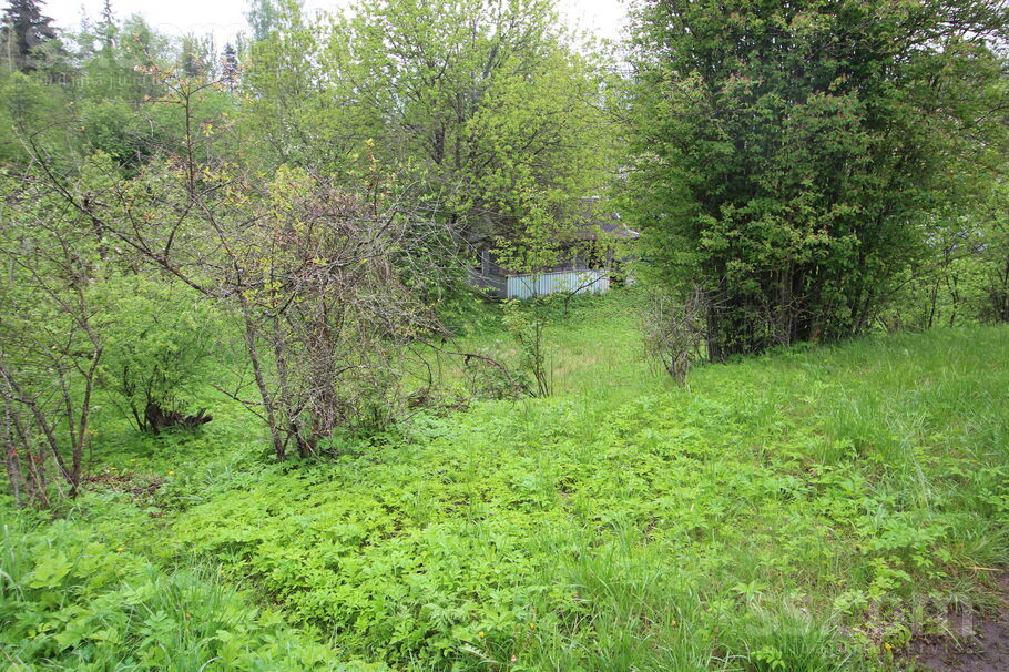 Atpūta Griškāni 59, Dreizi, Rēzekne un raj., Griškānu pag. — maja