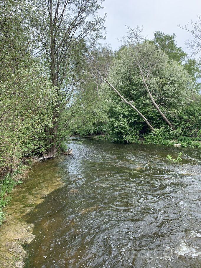 Jauna iela 2, Lapmežciems, Tukums un raj. — zeme