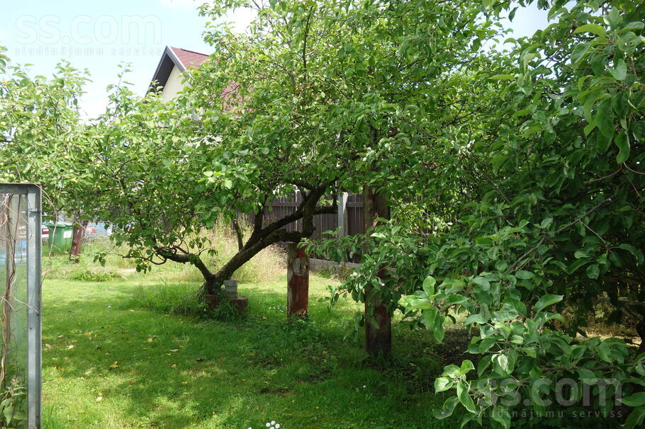 Doles dārzs 69, Dole, Rīgas rajons, Salaspils l. t. — maja