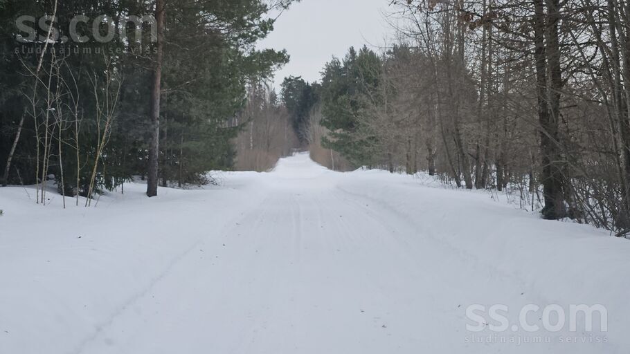 Krauļi 1, Bauska un raj., Bauska — zeme