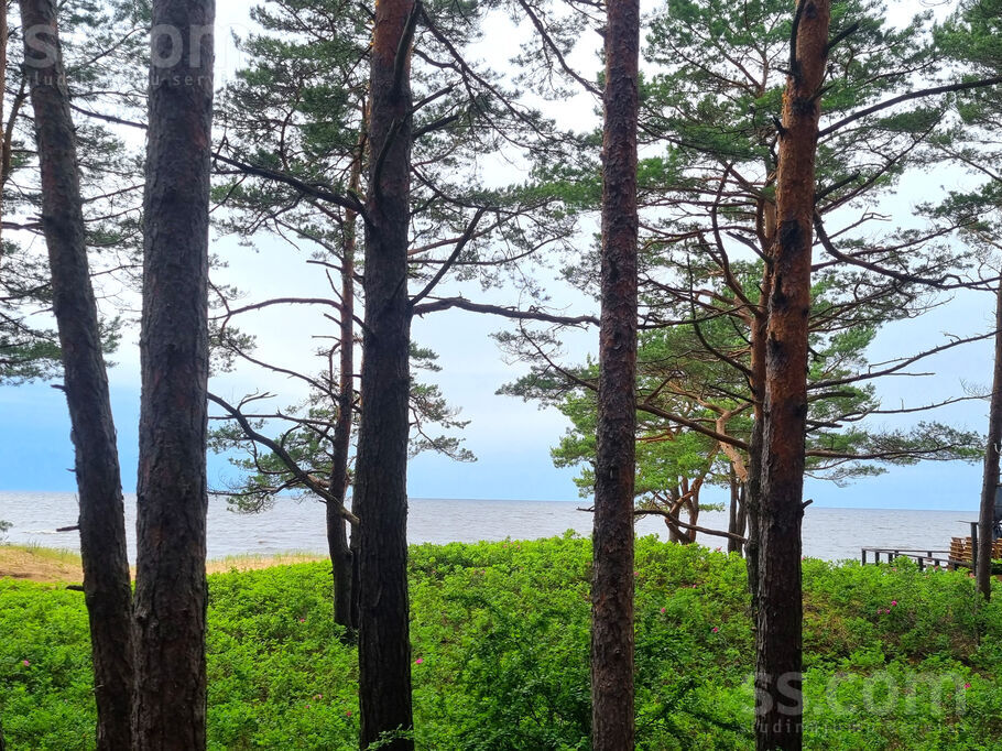 Jaunsaules 11, Rīgas rajons, Saulkrasti — zeme