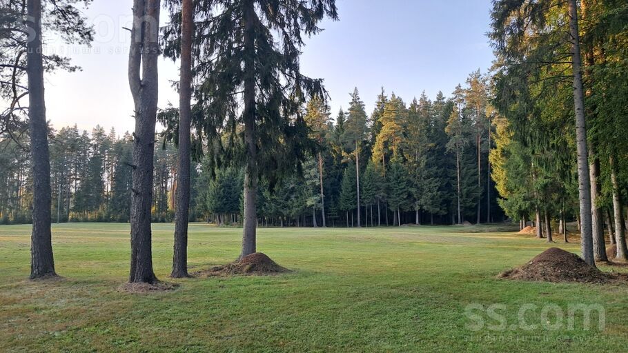 Daugmale, Rīgas rajons, Daugmales pag. — vienseta