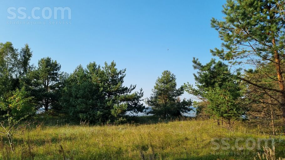 Saulstari, Valgalciems, Talsi un raj., Rojas pag. — zeme