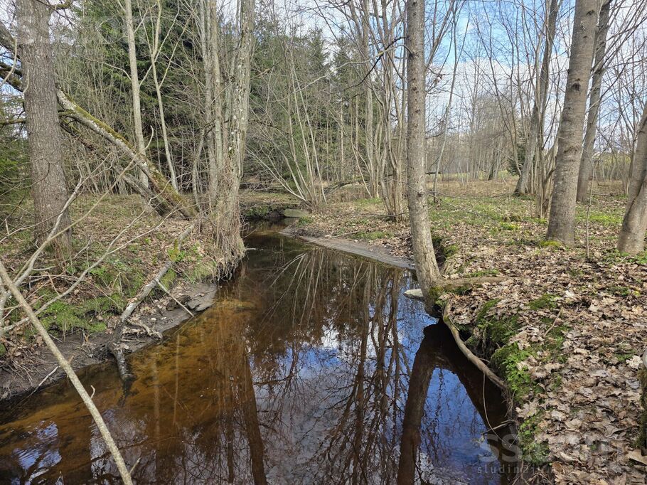 Ozolkalni, Ogre un raj., Jumpravas pag. — maja