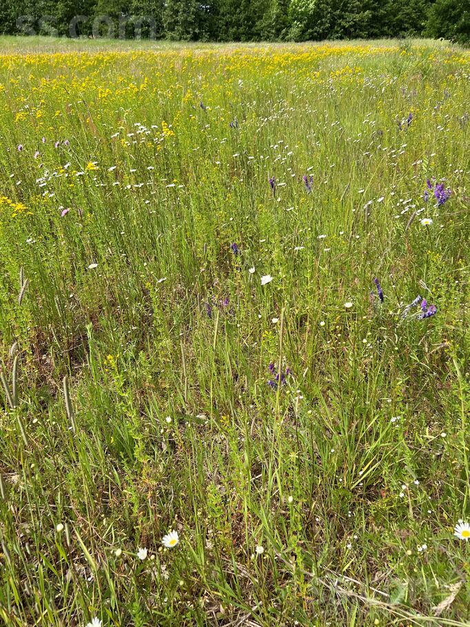 Strante, Strante, Liepāja un raj., Sakas pag. — zeme