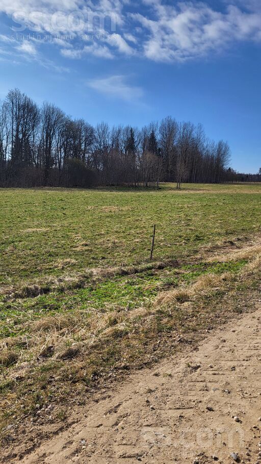 Vidsala vidsala, Vidsala, Jēkabpils un raj., Kalna pag. — zeme