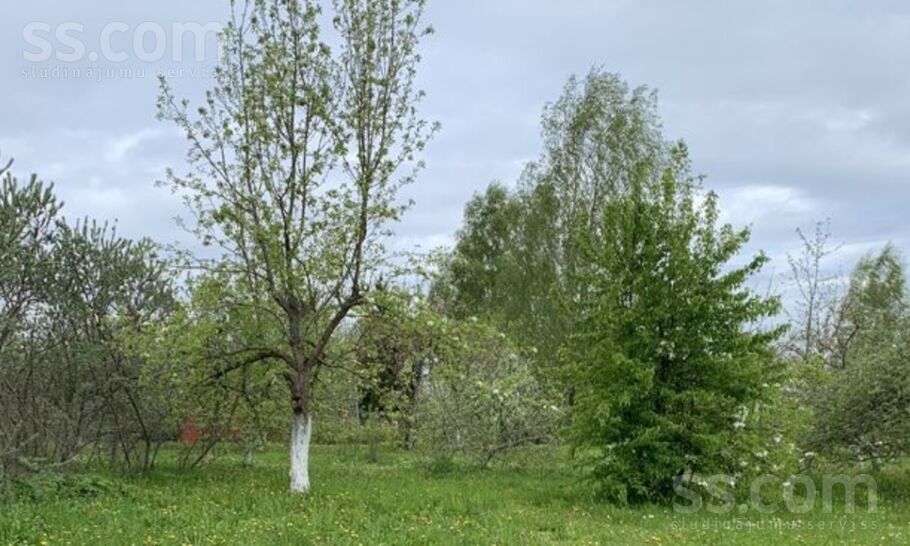 Pokaiņi 402, Parūķis, Dobele un raj., Krimūnu pag. — zeme