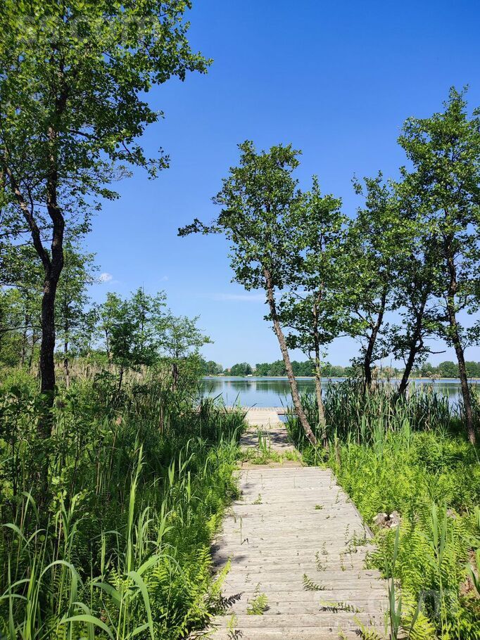 Ezerliči 6, Pabaži, Rīgas rajons, Saulkrastu l. t. — zeme